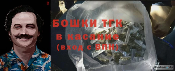 дживик Абинск