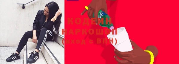 дживик Абинск