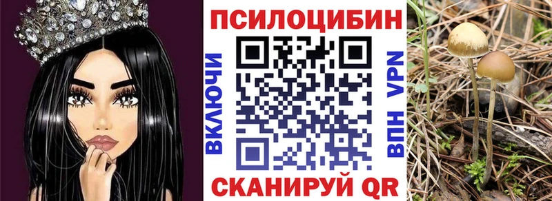 Галлюциногенные грибы MAGIC MUSHROOMS  Шахты 